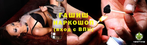 сатива Алзамай