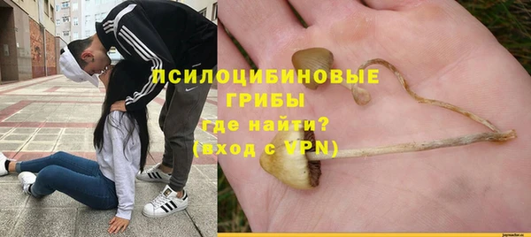 сатива Алзамай