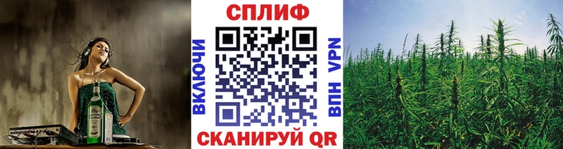 где можно купить   Пудож  Бошки Шишки сатива 